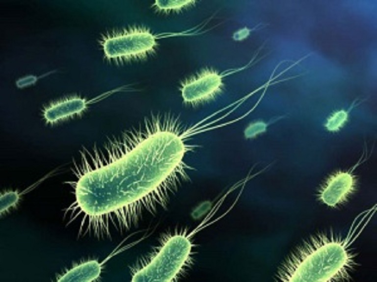 Viêm nhiễm âm đạo nguyên nhân chủ yếu là từ các loại nấm và vi khuẩn gây bệnh
