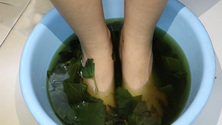 Ngoài cách uống bạn có thể nấu nước lá lốt để ngâm chân cũng giúp giảm đau nhanh