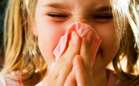 Viêm mũi họng xuất tiết ở trẻ em là bệnh lý khá phổ biến. đặc biệt là vào thời điểm giao mùa