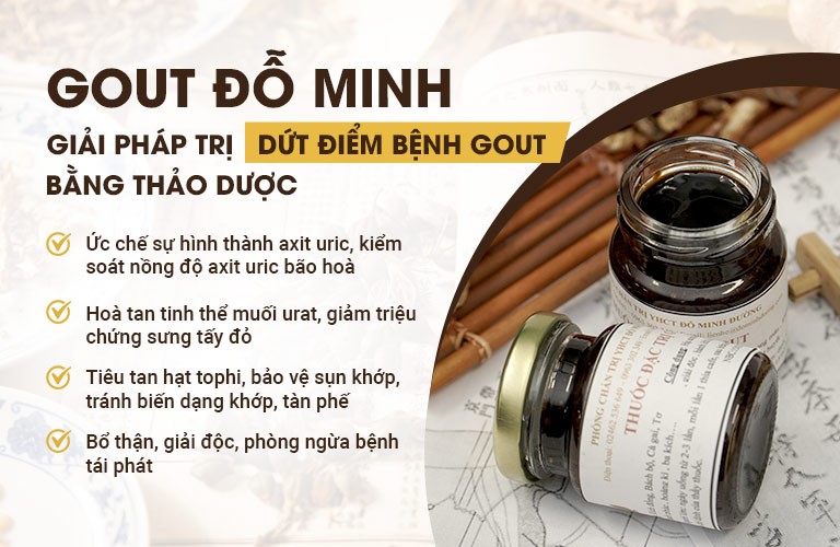 Bài thuốc Gout Đỗ Minh, chìa khóa “vàng” chữa trị bệnh gout hiệu quả