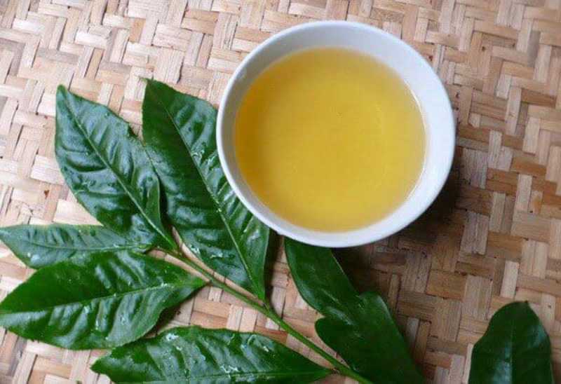 Uống trà xanh mỗi ngày điều trị viêm khớp hiệu quả