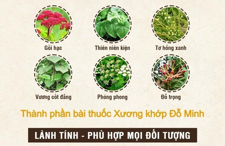 Thanh-phan-XKDM.jpg
