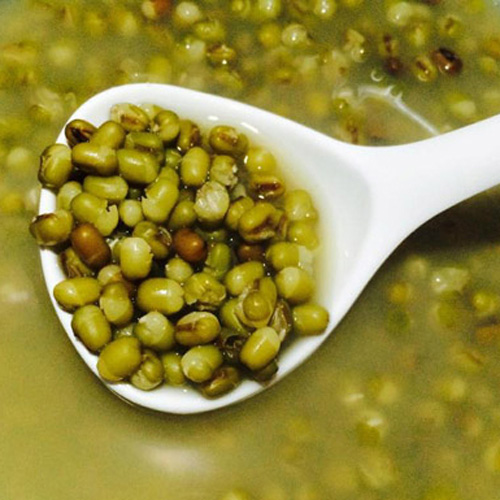 Có thể chế biến nhiều món ăn từ đậu xanh để chữa bệnh gout