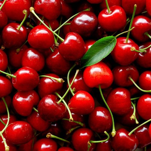Quả cherry chứa nhiều vitamin tốt cho sức khỏe