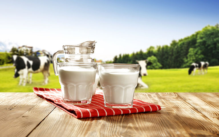 Thoát vị đĩa đệm nên uống sữa gì?