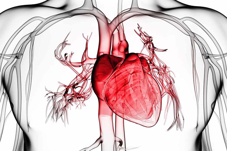 Bệnh suy thận độ 4 thường gây biến chứng cho tim và chuyển hóa