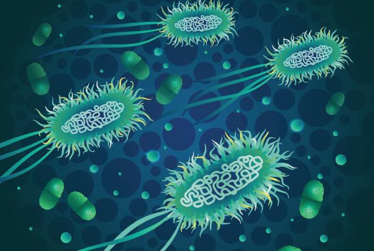 vi khuẩn E.coli