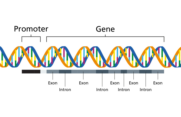Đột biến gen hoặc thay đổi DNA