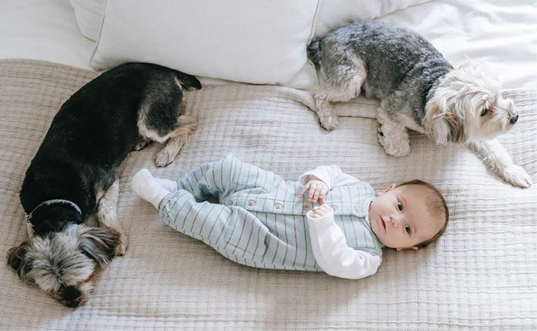 Cho trẻ tiếp xúc hoặc sống chung với chó mèo được nuôi trong nhà