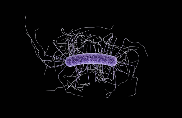 Một số loại kháng sinh khiến Clostridioides difficile phát triển và lây nhiễm