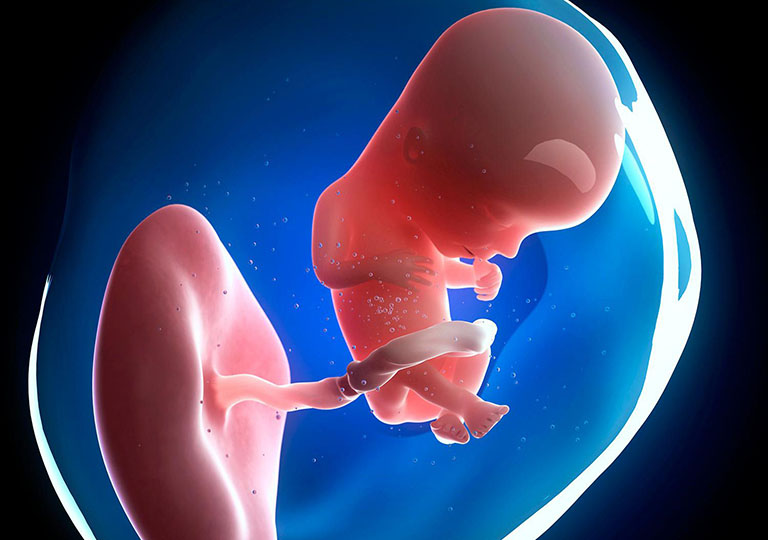Những bất thường trong khi hình thành và phát triển lòng ống tiêu hóa trong phôi thai