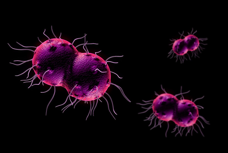 Vi khuẩn từ các bệnh lây truyền quan đường tình dục (STI) 