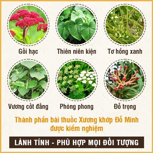 Thanh-phan-XKDM-500.jpg