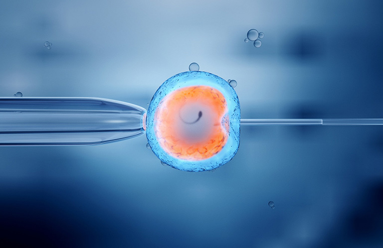 Phương pháp thụ tinh trong ống nghiệm (IVF)